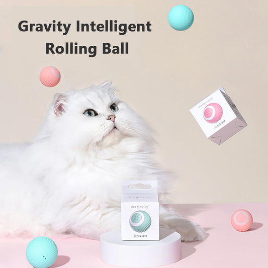 Automatic Pet Teaser Ball